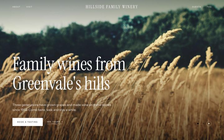 Premium style — winery website